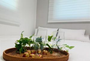 Cozy Erin Stay, Seoul