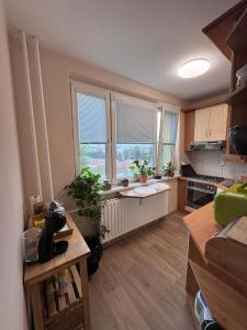 Sunny apartment in city center