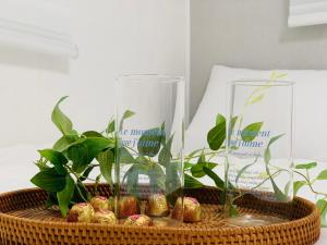 Cozy Erin Stay, Seoul