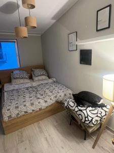 Apartament Starołeka
