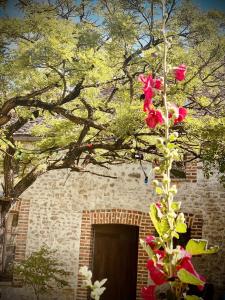 Grand Deluxe Poule Noire