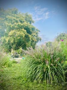 Grand Deluxe Poule Noire