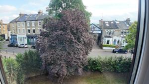 Spacious 5BR 3BA Duplex in Prime Zone 2 Near Tube and River