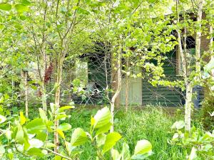Daisy-a romantic logcabin hiding amongst the trees