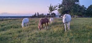 Ferienhaus für max6Gäste 2Kids 4Erwn