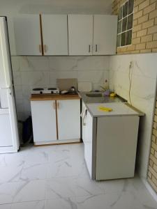 Filipovic Family Apartments