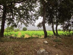 Maisons de vacances Maison d-art et de nature - Luberon - Provence : Maison 2 Chambres