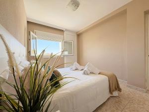 Horizonte Azul Pool & Sea - Cala del Moral, Málaga