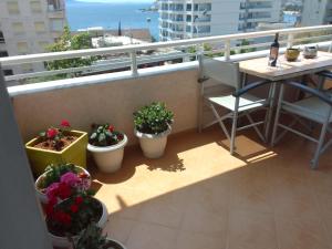 Apartment Alexandros