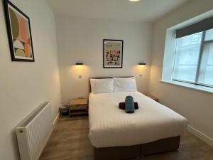 Luxury 3 bedroom 2 bathroomground floor centrally located - 2 Queen Street - Ashbrook Serviced Apartments