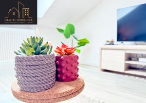 Appartements Le Chaleureux : photos des chambres