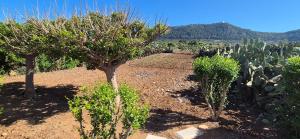 La casa sotto le stelle - Ustica