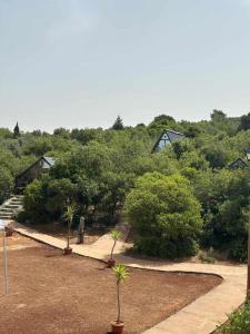 Widian al-sham huts