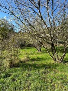 Charmant chalet sur terrain arboré