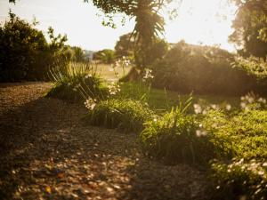 Springfontein Wine Estate