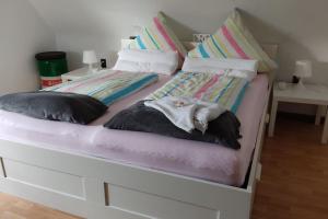 Hübsche 2 Zimmerwohnung