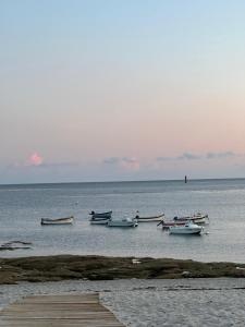 Appartements Hebergement la plage a pied : photos des chambres