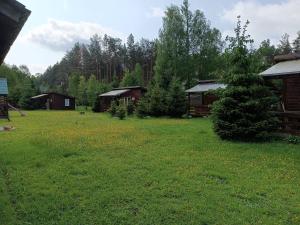 Domki Sosnowa dolina We wielu