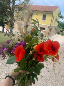 Casa in campagna la Roverella