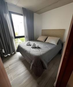 DOMMO Deluxe - 1 Dormitorio