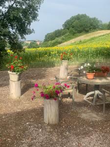 Casa in campagna la Roverella