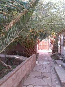 Hotel-Camping Takha Takha