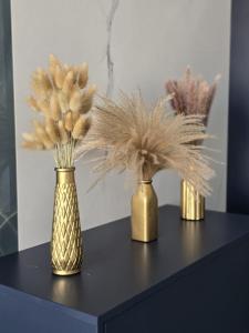 Appartements Oasis Dubai Piscine Arena P Expo : photos des chambres