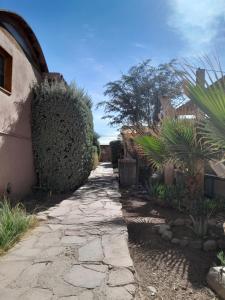 Hotel-Camping Takha Takha