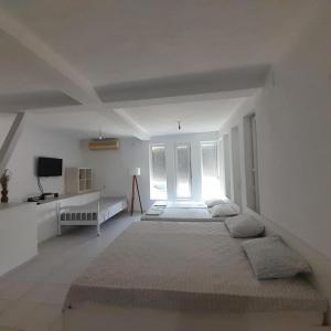 Vila Magdalena-Star Dojran