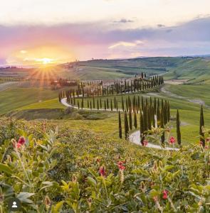Agriturismo Baccoleno