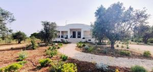 19-85 Tenuta Salentina