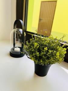 Makro Apartment Großenhain