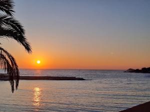 Appartements T2 neuf Mourillon climatise : photos des chambres