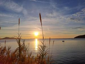 Appartements T2 neuf Mourillon climatise : photos des chambres