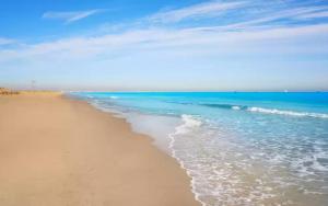 Che Loft! Artes y Ciencias