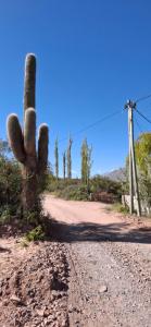 Cabañas Los Cardones
