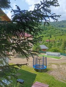 Червона Калина