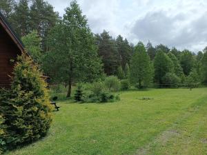 Domki Sosnowa dolina We Wielu