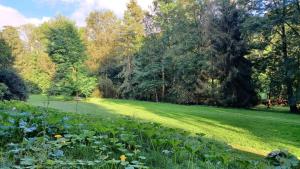 Gîte Artéa parc arboré 2,5 ha 2 à 6 personnes 20mn des thermes de Vittel et Contrexéville