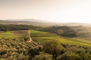 Chianti Escape PoolVines Tenuta Bibbiano-I Sodi