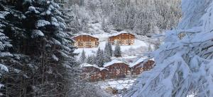 Charmant F2 avec terrasse, un coin de paradis esprit montagnard