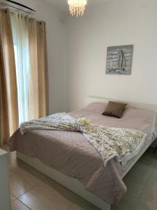 Spacious Apartment in Downtown City