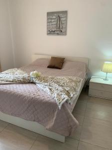 Spacious Apartment in Downtown City