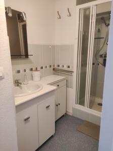 Au pied des piste T4 51m2 avec garage Le Pavin