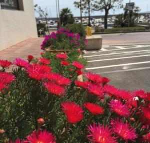 Hotel Don Pedro img17