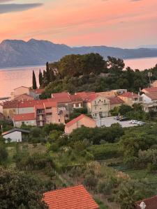 Apartments Vidovic -Susy