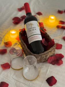 Hotel Casa Selva y Arte Bacalar -Gratis Renta Bicicletas