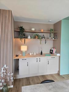 Appartements L-Acacia T2 tout confort avec clim WiFi vue tram : photos des chambres