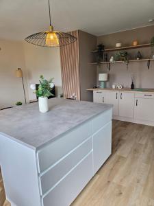 Appartements L-Acacia T2 tout confort avec clim WiFi vue tram : photos des chambres