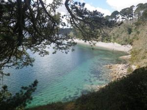 Shorebird central apartment, sea views & parking